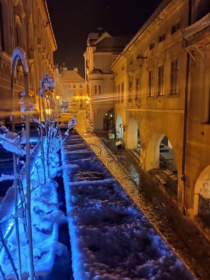 Apartament Podcienie Z Tarasem Bielsko-Biala Old Town エクステリア 写真