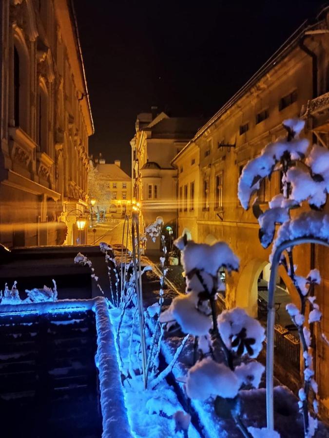 Apartament Podcienie Z Tarasem Bielsko-Biala Old Town エクステリア 写真