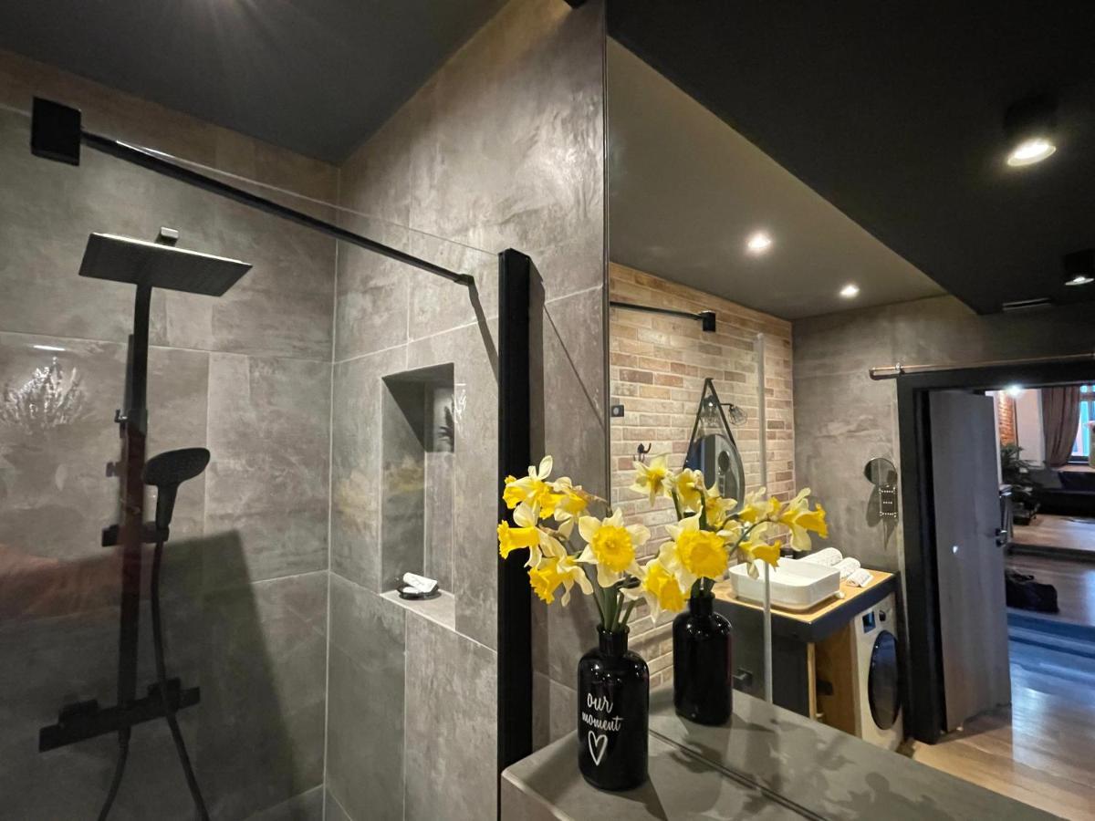 Apartament Podcienie Z Tarasem Bielsko-Biala Old Town エクステリア 写真